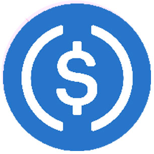 USDC 區塊鏈項目