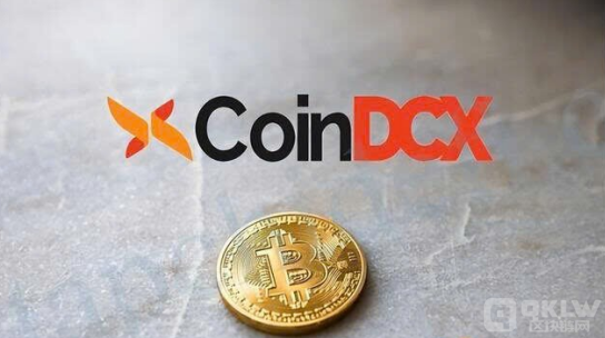 印度交易所CoinDCX推出600萬美元投資者保護(hù)基金&nbsp;圖片
